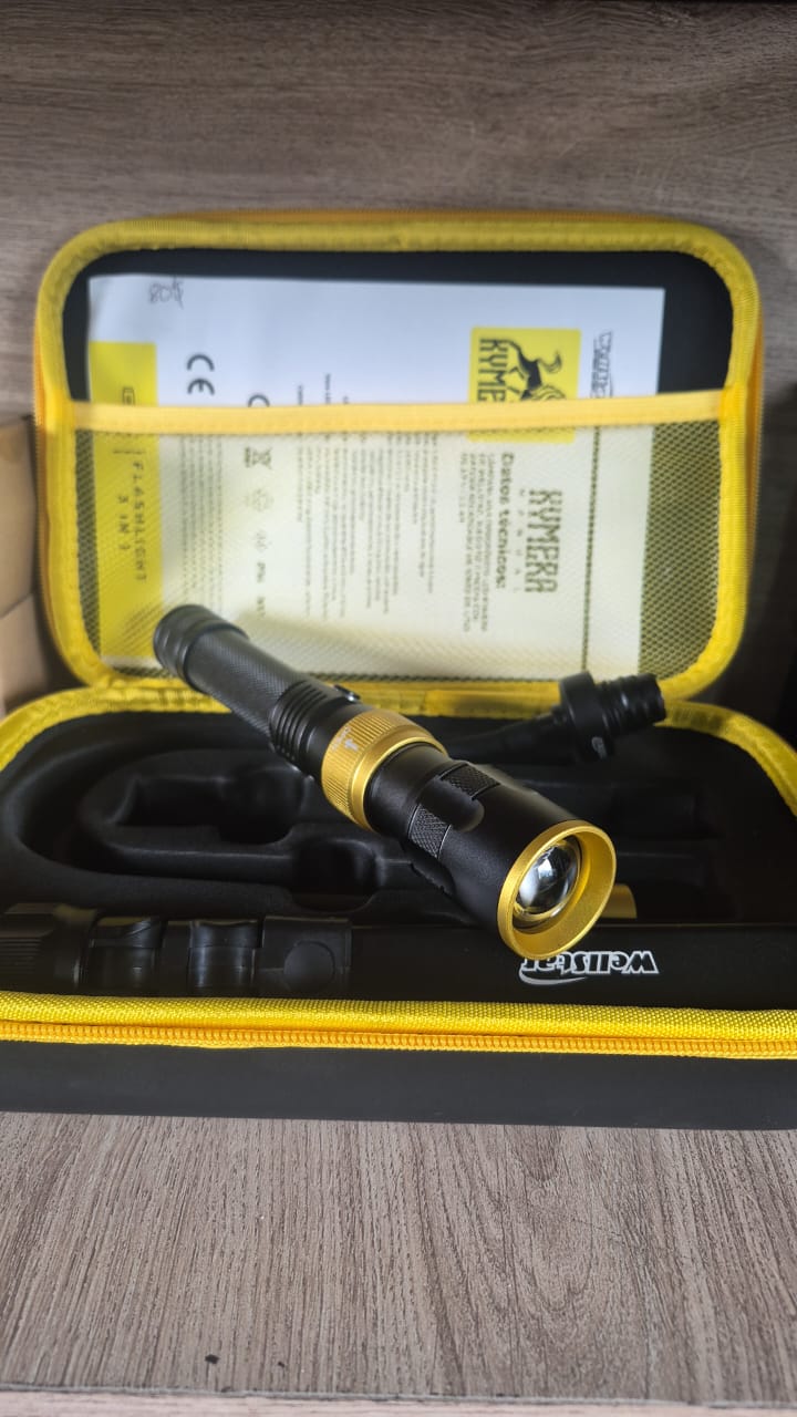 Linterna Wellstar